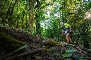 BIB: 3540
                            <button type="button" onclick="openModal(16015396)" class="btn btn-primary btn-sm float-right btn-popup" data-toggle="modal" data-target=".modal-high-quality">
                        <i class="fas fa-shopping-cart"></i> Add to Cart
                    </button>
                                            <button type="button" onclick="isThisMe(16015396, true)" class="btn btn-success btn-sm float-right btn-popup btn-isme hidden" data-toggle="tooltip" data-placement="bottom" title="นี่คือรูปของคุณใช่ไหม คลิกที่นี่เพื่อเอาเข้าอัลบั้ม">
                        <i class="fas fa-plus"></i> Add to album
                    </button>
                    <button type="button" onclick="isThisMe(16015396, false)" class="btn btn-warning btn-sm float-right btn-popup btn-isnotme hidden">
                        <i class="fas fa-ban"></i> Remove from album
                    </button>